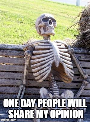 Waiting Skeleton | ONE DAY PEOPLE WILL SHARE MY OPINION | image tagged in memes,waiting skeleton | made w/ Imgflip meme maker