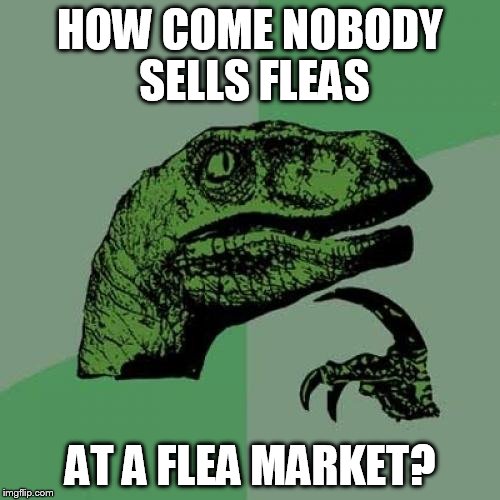 Flea Market Philosoraptor |  HOW COME NOBODY SELLS FLEAS; AT A FLEA MARKET? | image tagged in memes,philosoraptor,flea,flea market | made w/ Imgflip meme maker
