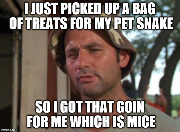 So I Got That Goin For Me Which Is Nice | I JUST PICKED UP A BAG OF TREATS FOR MY PET SNAKE; SO I GOT THAT GOIN FOR ME WHICH IS MICE | image tagged in memes,so i got that goin for me which is nice | made w/ Imgflip meme maker