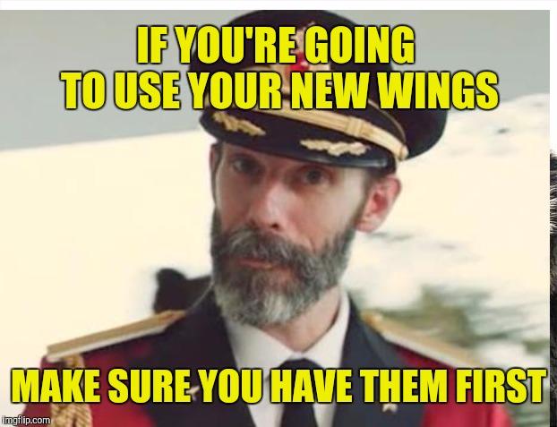 IF YOU'RE GOING TO USE YOUR NEW WINGS MAKE SURE YOU HAVE THEM FIRST | made w/ Imgflip meme maker