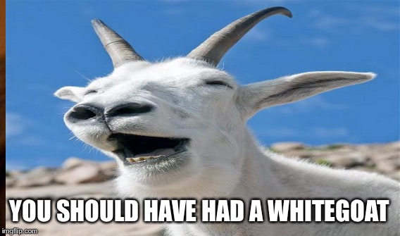 YOU SHOULD HAVE HAD A WHITEGOAT | made w/ Imgflip meme maker