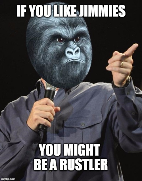 IF YOU LIKE JIMMIES; YOU MIGHT BE A RUSTLER | image tagged in rustle my jimmies,you might be a meme addict,jeff foxworthy,you might be | made w/ Imgflip meme maker