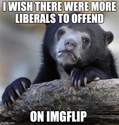 Confession Bear Meme | I WISH THERE WERE MORE LIBERALS TO OFFEND; ON IMGFLIP | image tagged in memes,confession bear | made w/ Imgflip meme maker