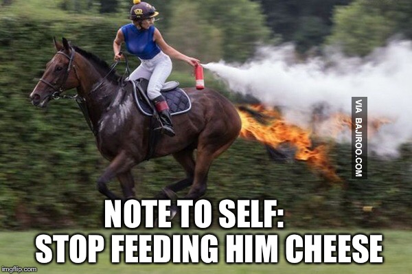 NOTE TO SELF:     STOP FEEDING HIM CHEESE | made w/ Imgflip meme maker