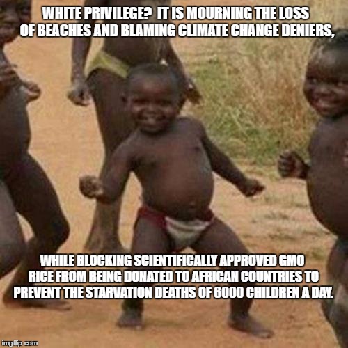 Third World Success Kid Meme | WHITE PRIVILEGE?  IT IS MOURNING THE LOSS OF BEACHES AND BLAMING CLIMATE CHANGE DENIERS, WHILE BLOCKING SCIENTIFICALLY APPROVED GMO RICE FROM BEING DONATED TO AFRICAN COUNTRIES TO PREVENT THE STARVATION DEATHS OF 6000 CHILDREN A DAY. | image tagged in memes,third world success kid | made w/ Imgflip meme maker