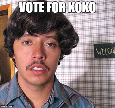 Vote for Pedro  | VOTE FOR KOKO | image tagged in vote for pedro | made w/ Imgflip meme maker