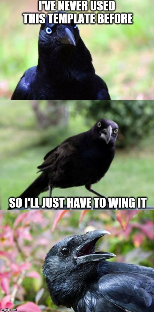 Bad Pun Crow | I'VE NEVER USED THIS TEMPLATE BEFORE; SO I'LL JUST HAVE TO WING IT | image tagged in bad pun crow,memes,inferno390 | made w/ Imgflip meme maker
