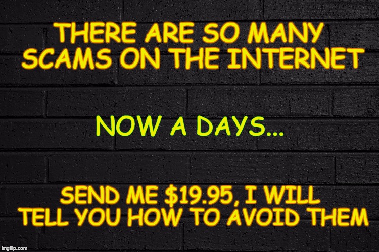 THERE ARE SO MANY SCAMS ON THE INTERNET; NOW A DAYS... SEND ME $19.95, I WILL TELL YOU HOW TO AVOID THEM | image tagged in meme,scam,funny,money | made w/ Imgflip meme maker