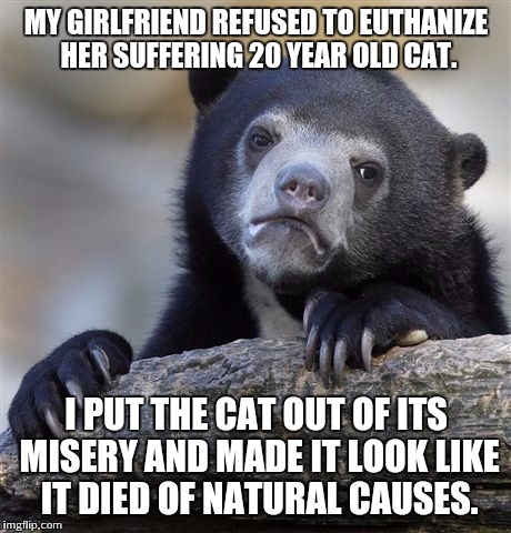 Confession Bear Meme | MY GIRLFRIEND REFUSED TO EUTHANIZE HER SUFFERING 20 YEAR OLD CAT. I PUT THE CAT OUT OF ITS MISERY AND MADE IT LOOK LIKE IT DIED OF NATURAL CAUSES. | image tagged in memes,confession bear,AdviceAnimals | made w/ Imgflip meme maker