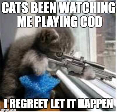 cats with guns | CATS BEEN WATCHING ME PLAYING COD; I REGREET LET IT HAPPEN | image tagged in cats with guns | made w/ Imgflip meme maker