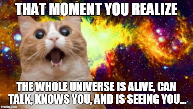 space cat | THAT MOMENT YOU REALIZE; THE WHOLE UNIVERSE IS ALIVE, CAN TALK, KNOWS YOU, AND IS SEEING YOU... | image tagged in space cat | made w/ Imgflip meme maker