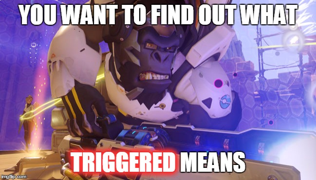 YOU WANT TO FIND OUT WHAT TRIGGERED MEANS TRIGGERED | made w/ Imgflip meme maker