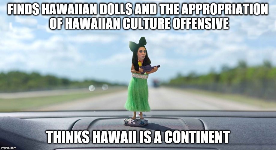 FINDS HAWAIIAN DOLLS AND THE APPROPRIATION OF HAWAIIAN CULTURE OFFENSIVE; THINKS HAWAII IS A CONTINENT | image tagged in annaliese-nielsen | made w/ Imgflip meme maker