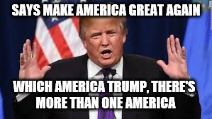 SAYS MAKE AMERICA GREAT AGAIN; WHICH AMERICA TRUMP, THERE'S MORE THAN ONE AMERICA | image tagged in donald trump | made w/ Imgflip meme maker