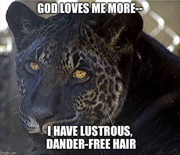 DARK JAGLION I | GOD LOVES ME MORE-- I HAVE LUSTROUS, DANDER-FREE HAIR | image tagged in dark jaglion i | made w/ Imgflip meme maker