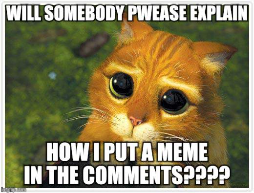 Shrek Cat Meme | WILL SOMEBODY PWEASE EXPLAIN; HOW I PUT A MEME IN THE COMMENTS???? | image tagged in memes,shrek cat | made w/ Imgflip meme maker