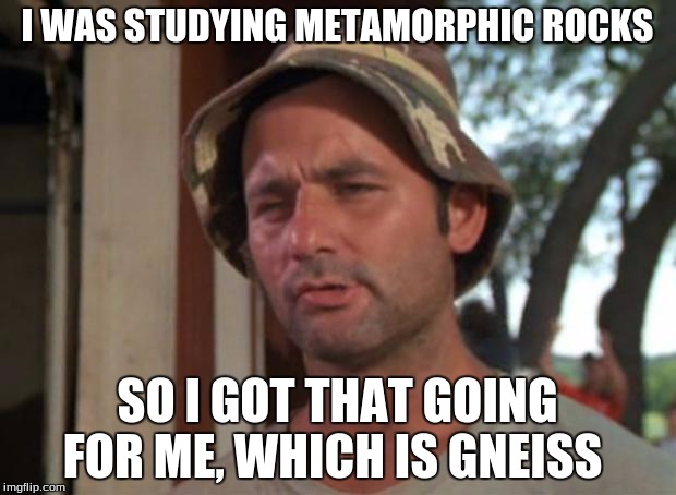 Metamorphic Rock | I WAS STUDYING METAMORPHIC ROCKS; SO I GOT THAT GOING FOR ME, WHICH IS GNEISS | image tagged in memes,so i got that goin for me which is nice | made w/ Imgflip meme maker
