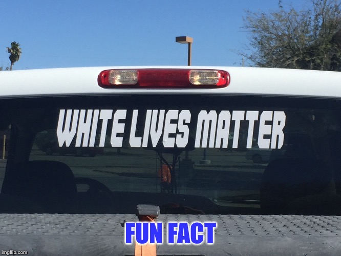 white lives matter | FUN FACT | image tagged in funny memes,not racist,true story,political humor | made w/ Imgflip meme maker