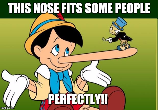 Liar | THIS NOSE FITS SOME PEOPLE; PERFECTLY!! | image tagged in liar | made w/ Imgflip meme maker