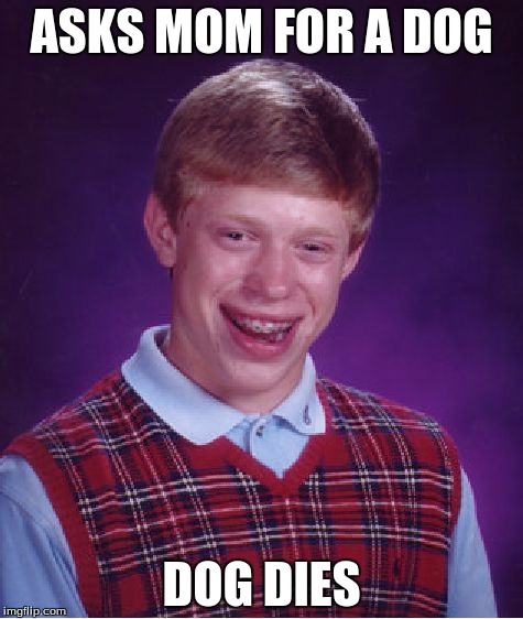 Bad Luck Brian Meme | ASKS MOM FOR A DOG; DOG DIES | image tagged in memes,bad luck brian | made w/ Imgflip meme maker