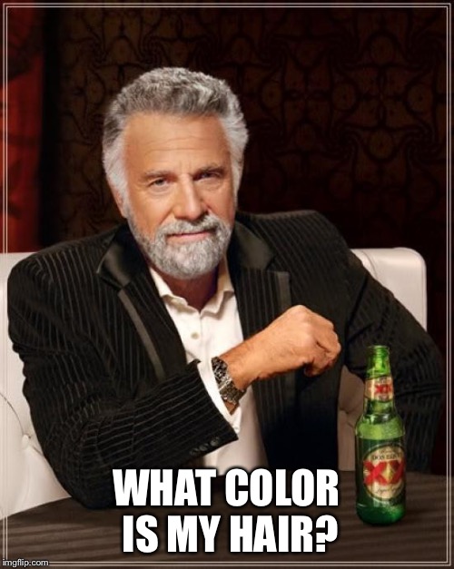 The Most Interesting Man In The World Meme | WHAT COLOR IS MY HAIR? | image tagged in memes,the most interesting man in the world | made w/ Imgflip meme maker