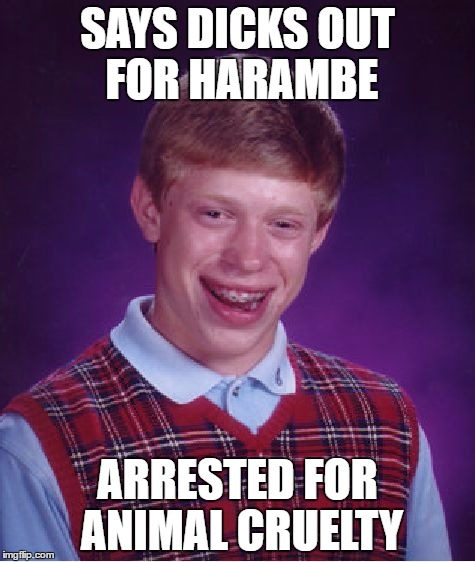 Bad Luck Brian | SAYS DICKS OUT FOR HARAMBE; ARRESTED FOR ANIMAL CRUELTY | image tagged in memes,bad luck brian,nsfw | made w/ Imgflip meme maker