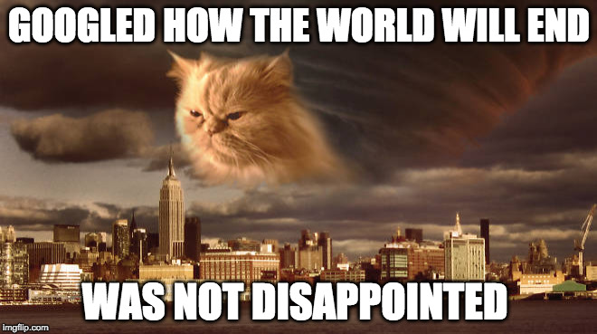 I kind of want to see how this plays out... | GOOGLED HOW THE WORLD WILL END; WAS NOT DISAPPOINTED | image tagged in end of the world cat,was not disappointed,cat,end of the world,iwanttobebacon,hillary clinton | made w/ Imgflip meme maker