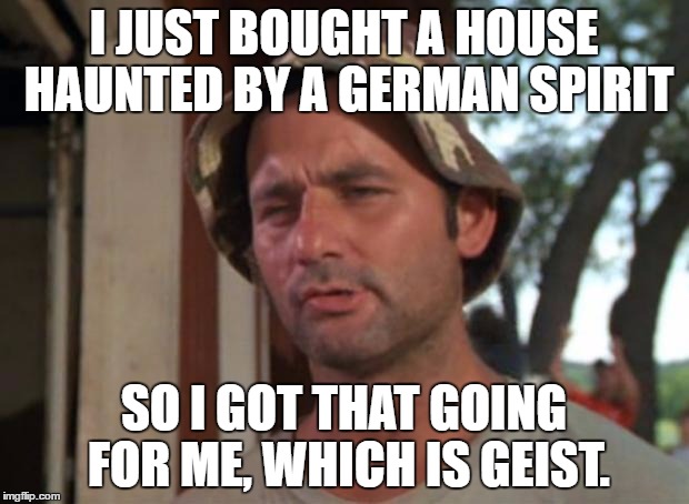 So I Got That Goin For Me | I JUST BOUGHT A HOUSE HAUNTED BY A GERMAN SPIRIT; SO I GOT THAT GOING FOR ME, WHICH IS GEIST. | image tagged in memes,so i got that goin for me which is nice | made w/ Imgflip meme maker