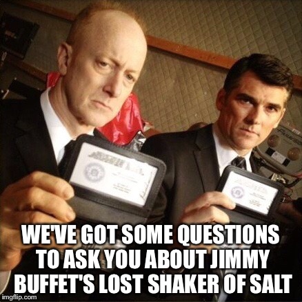 FBI | WE'VE GOT SOME QUESTIONS TO ASK YOU ABOUT JIMMY BUFFET'S LOST SHAKER OF SALT | image tagged in fbi | made w/ Imgflip meme maker