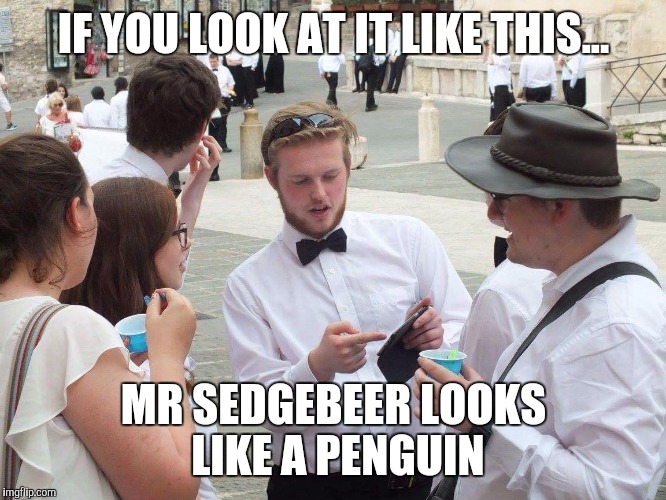 If you look at it like this... | IF YOU LOOK AT IT LIKE THIS... MR SEDGEBEER LOOKS LIKE A PENGUIN | image tagged in if you look at it like this,memes,wolverhampton youth orchestra,thatbritishviolaguy | made w/ Imgflip meme maker
