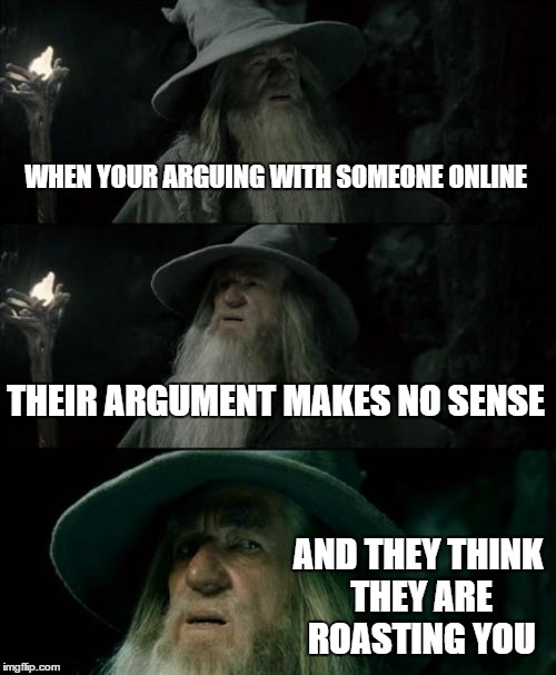 Confused Gandalf Meme | WHEN YOUR ARGUING WITH SOMEONE ONLINE; THEIR ARGUMENT MAKES NO SENSE; AND THEY THINK THEY ARE ROASTING YOU | image tagged in memes,confused gandalf | made w/ Imgflip meme maker