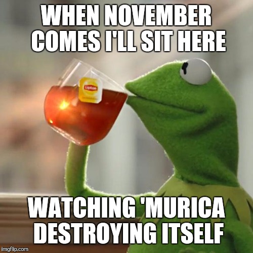 But That's None Of My Business Meme | WHEN NOVEMBER COMES I'LL SIT HERE; WATCHING 'MURICA DESTROYING ITSELF | image tagged in memes,but thats none of my business,kermit the frog | made w/ Imgflip meme maker