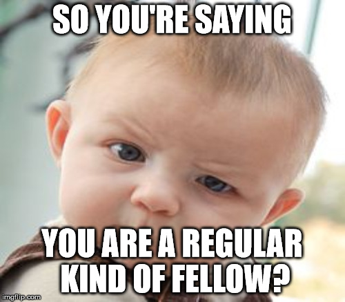 SO YOU'RE SAYING YOU ARE A REGULAR KIND OF FELLOW? | made w/ Imgflip meme maker
