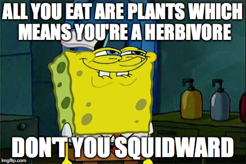 Don't You Squidward | ALL YOU EAT ARE PLANTS WHICH MEANS YOU'RE A HERBIVORE; DON'T YOU SQUIDWARD | image tagged in memes,dont you squidward | made w/ Imgflip meme maker