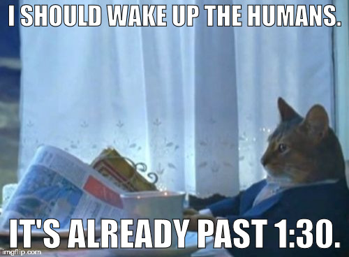 1:30 is a good morning wake-up time. | I SHOULD WAKE UP THE HUMANS. IT'S ALREADY PAST 1:30. | image tagged in memes,i should buy a boat cat,420 blaze it,130,wake up,cats | made w/ Imgflip meme maker