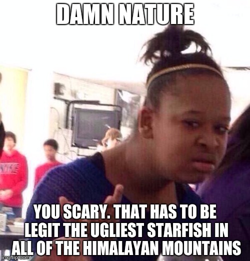 Black Girl Wat | DAMN NATURE; YOU SCARY. THAT HAS TO BE LEGIT THE UGLIEST STARFISH IN ALL OF THE HIMALAYAN MOUNTAINS | image tagged in memes,black girl wat | made w/ Imgflip meme maker
