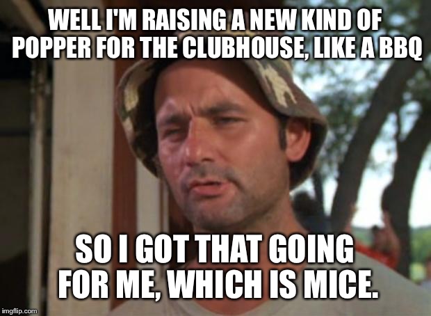 Groundskeeper sidelines | WELL I'M RAISING A NEW KIND OF POPPER FOR THE CLUBHOUSE, LIKE A BBQ; SO I GOT THAT GOING FOR ME, WHICH IS MICE. | image tagged in memes,so i got that goin for me which is nice,mice,poppers,bbq,drsarcasm | made w/ Imgflip meme maker