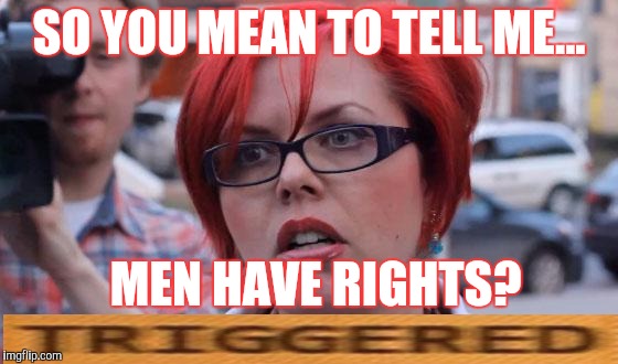 Angry Feminist | SO YOU MEAN TO TELL ME... MEN HAVE RIGHTS? | image tagged in angry feminist | made w/ Imgflip meme maker