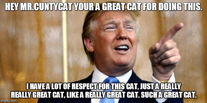 HEY MR.CUNTYCAT YOUR A GREAT CAT FOR DOING THIS. I HAVE A LOT OF RESPECT FOR THIS CAT, JUST A REALLY REALLY GREAT CAT, LIKE A REALLY GREAT CAT. SUCH A GREAT CAT. | made w/ Imgflip meme maker