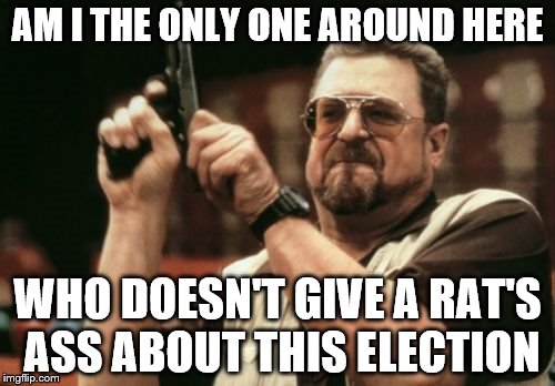 Am I The Only One Around Here Meme | AM I THE ONLY ONE AROUND HERE; WHO DOESN'T GIVE A RAT'S ASS ABOUT THIS ELECTION | image tagged in memes,am i the only one around here | made w/ Imgflip meme maker