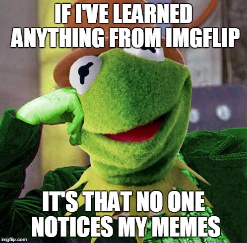 Condescending Meme War Champion Kermit |  IF I'VE LEARNED ANYTHING FROM IMGFLIP; IT'S THAT NO ONE NOTICES MY MEMES | image tagged in condescending meme war champion kermit | made w/ Imgflip meme maker