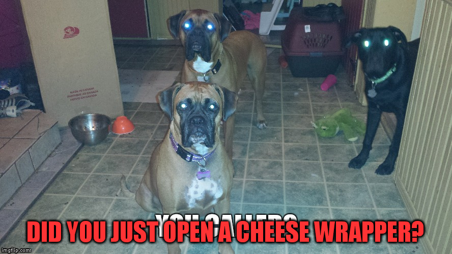 DID YOU JUST OPEN A CHEESE WRAPPER? | made w/ Imgflip meme maker