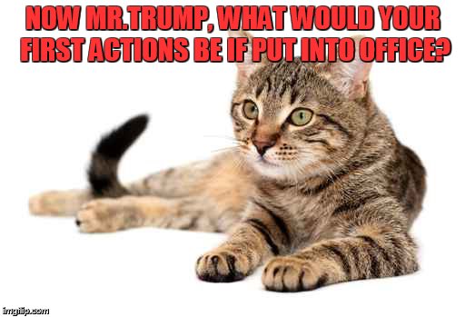 NOW MR.TRUMP, WHAT WOULD YOUR FIRST ACTIONS BE IF PUT INTO OFFICE? | made w/ Imgflip meme maker