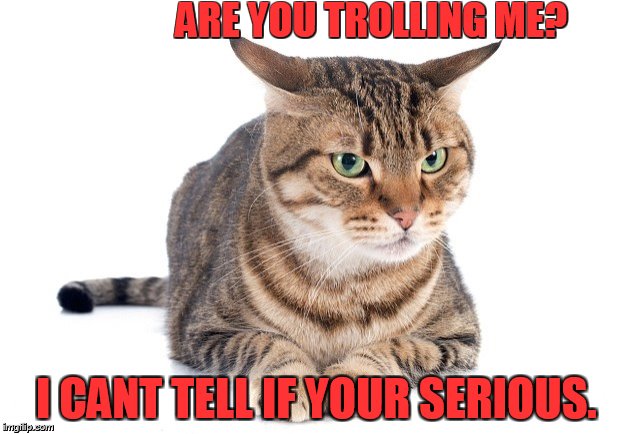 ARE YOU TROLLING ME? I CANT TELL IF YOUR SERIOUS. | made w/ Imgflip meme maker