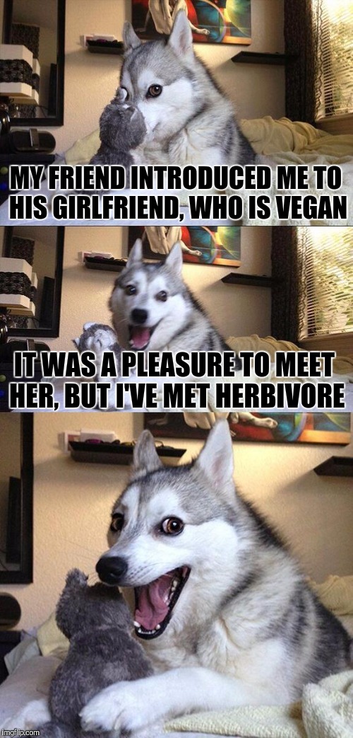 Bad Pun Dog | MY FRIEND INTRODUCED ME TO HIS GIRLFRIEND, WHO IS VEGAN; IT WAS A PLEASURE TO MEET HER, BUT I'VE MET HERBIVORE | image tagged in memes,bad pun dog | made w/ Imgflip meme maker
