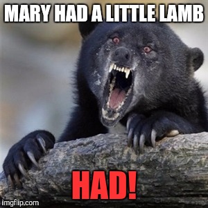 insane confession bear | MARY HAD A LITTLE LAMB; HAD! | image tagged in insane confession bear | made w/ Imgflip meme maker