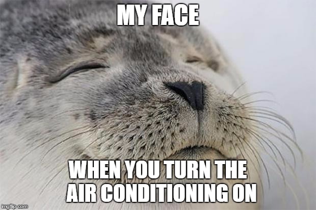 Satisfied Seal | MY FACE; WHEN YOU TURN THE  AIR CONDITIONING ON | image tagged in memes,satisfied seal | made w/ Imgflip meme maker