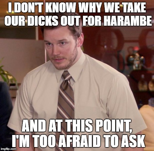 Afraid To Ask Andy | I DON'T KNOW WHY WE TAKE OUR DICKS OUT FOR HARAMBE; AND AT THIS POINT, I'M TOO AFRAID TO ASK | image tagged in memes,afraid to ask andy,AdviceAnimals | made w/ Imgflip meme maker