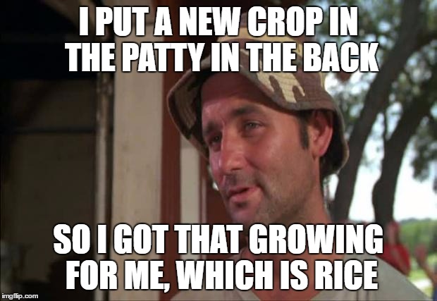 So I Got That Goin For Me Which Is Nice 2 |  I PUT A NEW CROP IN THE PATTY IN THE BACK; SO I GOT THAT GROWING FOR ME, WHICH IS RICE | image tagged in memes,so i got that goin for me which is nice 2 | made w/ Imgflip meme maker