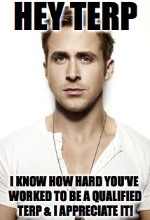 Ryan Gosling Meme | HEY TERP; I KNOW HOW HARD YOU'VE WORKED TO BE A QUALIFIED TERP & I APPRECIATE IT! | image tagged in memes,ryan gosling | made w/ Imgflip meme maker